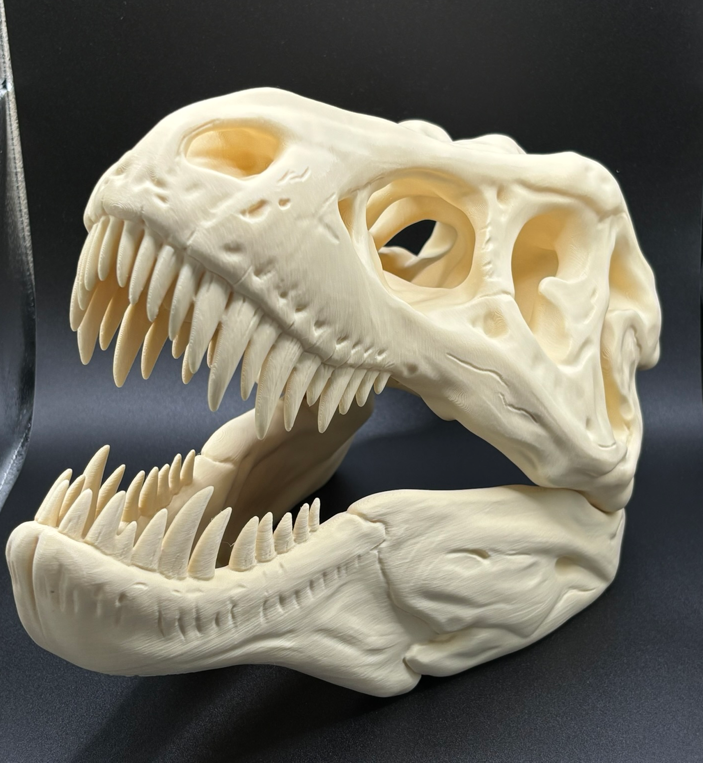 T-Rex Skull